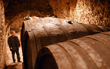40 hl casks in a deep cellar